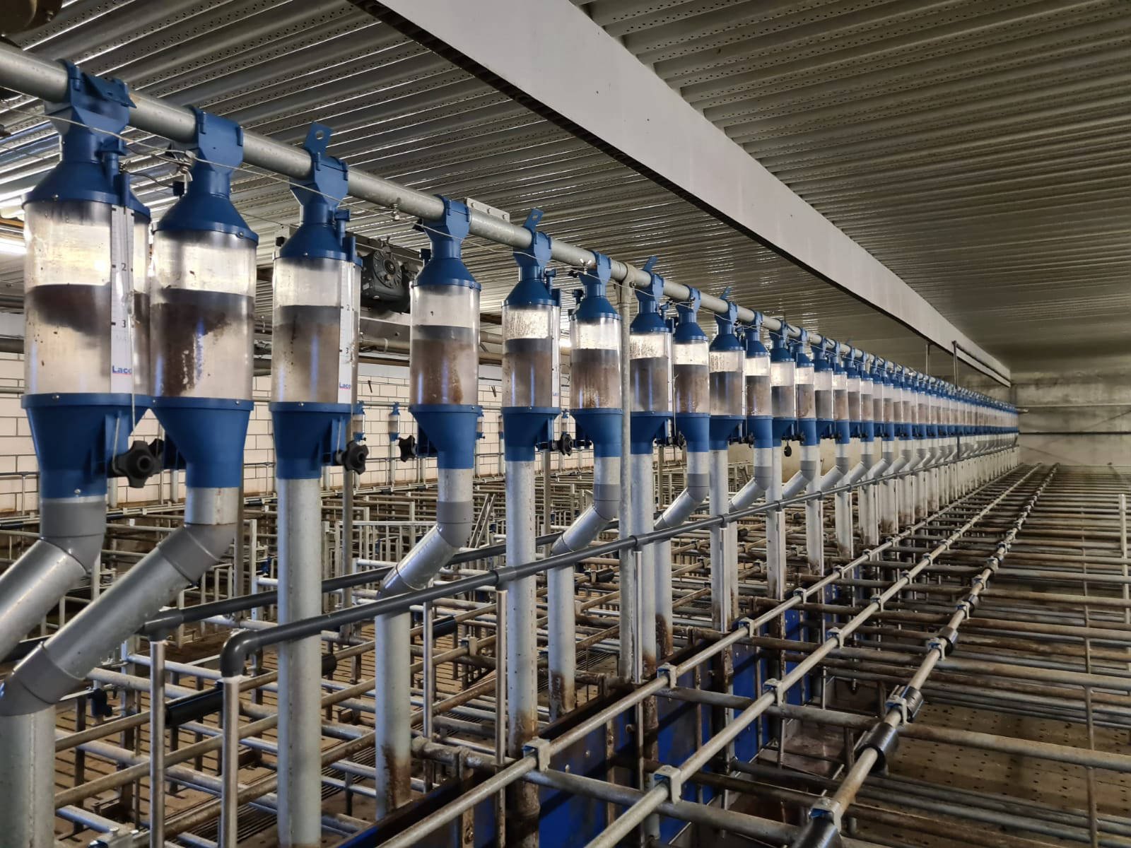 Boekhorst Trading is gespecialiseerd in de in- en verkoop van stalinrichting